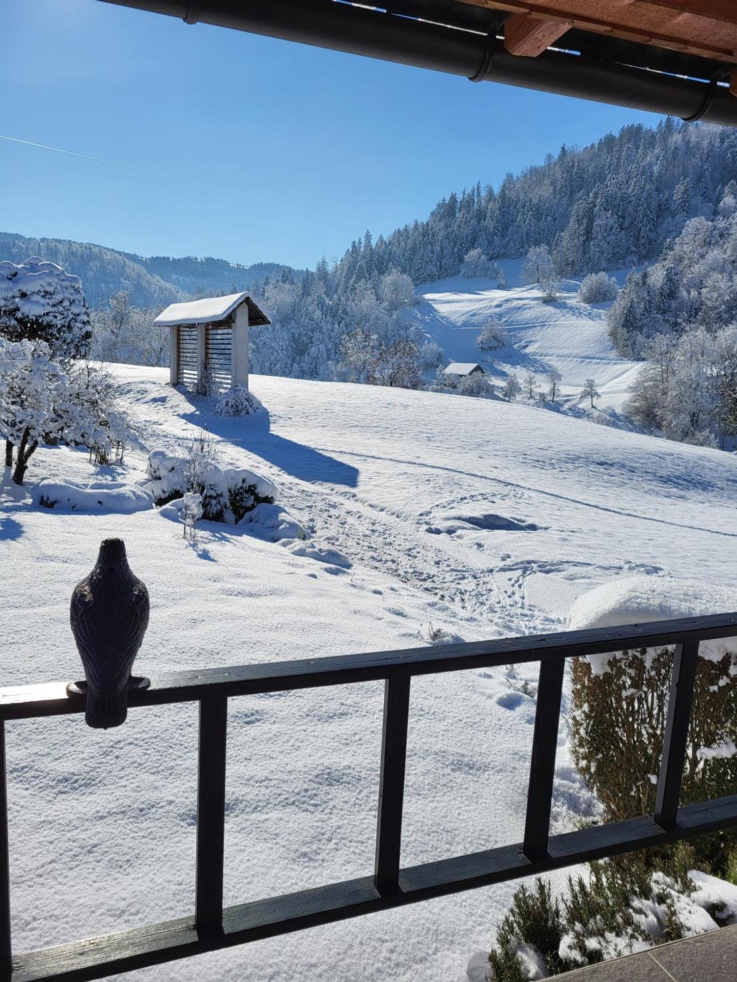 Holiday Home Na Vasi Gorenja Vas  Luaran gambar